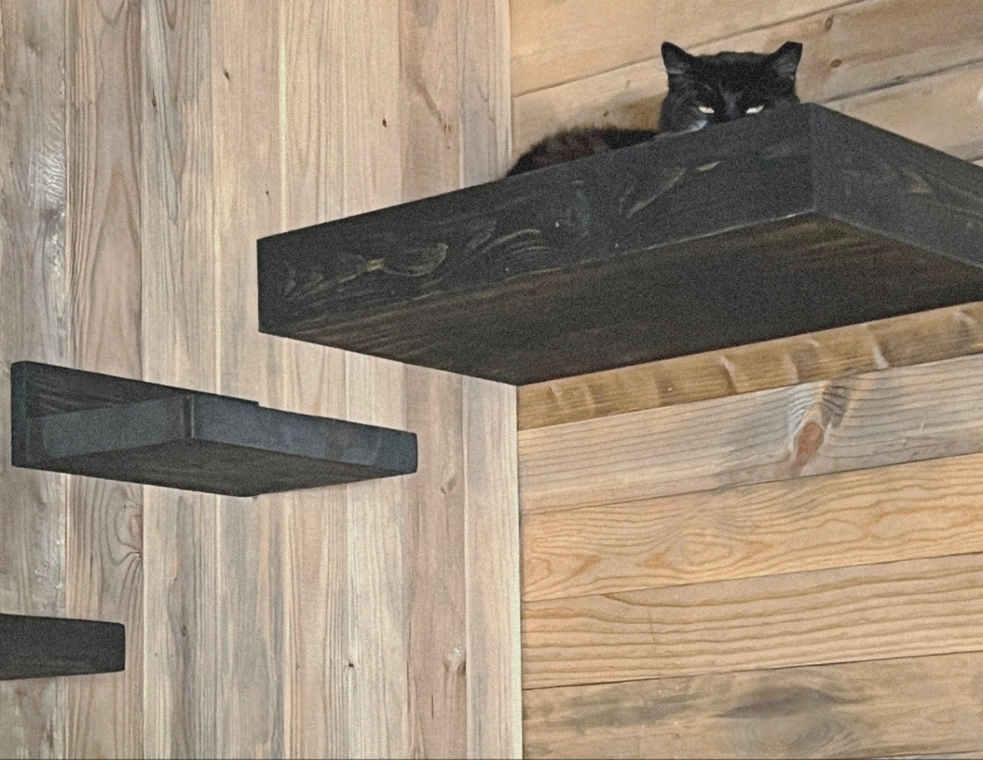 Floating Cat Shelves - My Two Maggie's, Floating Cat Shelves - My Two Maggie's, Floating Cat Perch, Cat Hammock, Wall Mounted Cat Shelves,  Wall Mounted Cat Step, Floating Cat Shelf, Hanging Cat Perch, Wall Cat Shelf, Wall Cat Step, Cat Furniture